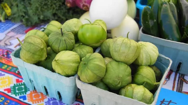 How to Use Extra Tomatillos Before They Go Soft